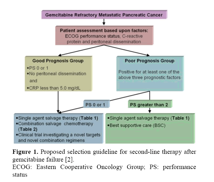 Options For The Treatment Of Gemcitabine Resistant Advanced Pancreatic Cancer Are We There Yet Insight Medical Publishing