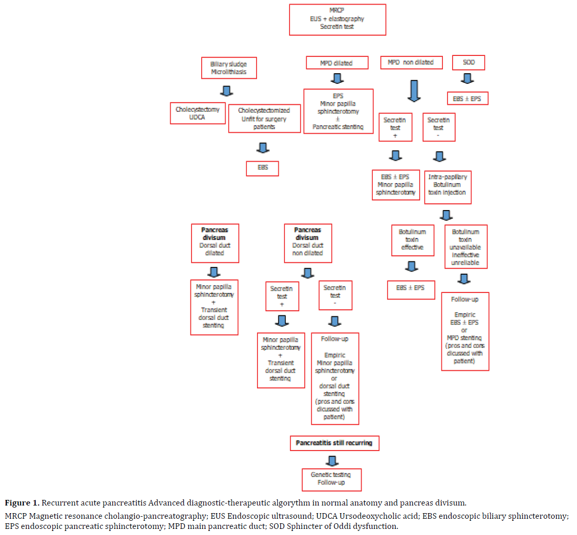 ERCP-Guided Endoscopic Therapy for Recurrent Acute Pancreatitis in