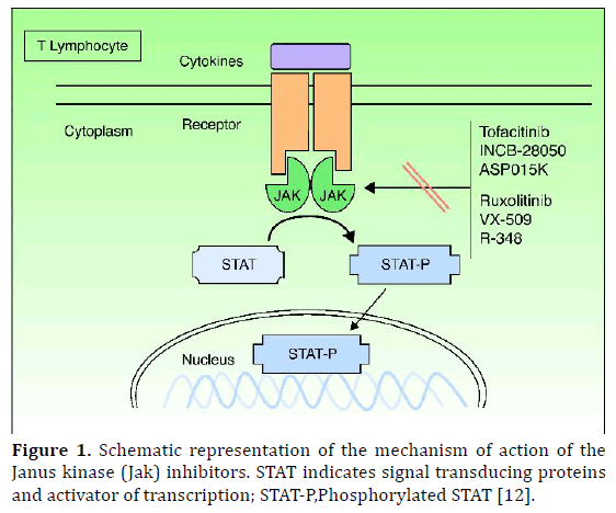 Second Line Treatment For Pancreatic Cancer Insight Medical Publishing